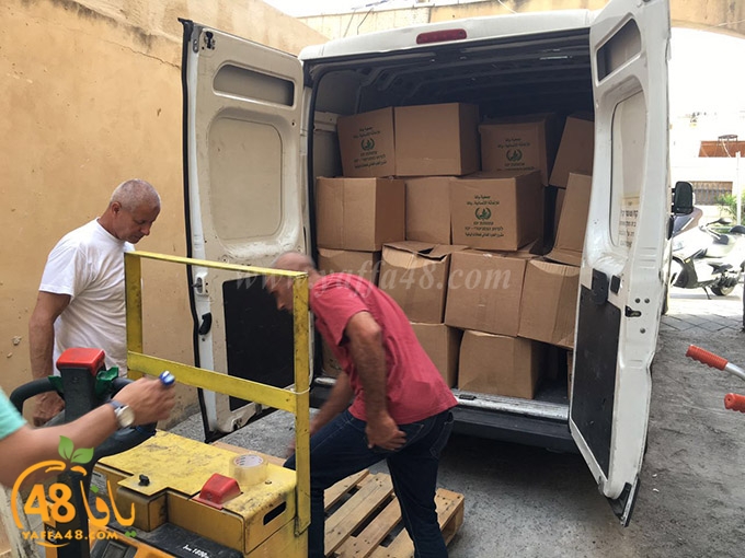 torold yaffa (9).jpg